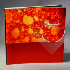 Metal Gear Solid The Twin Snakes