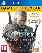 The Witcher 3: Wild Hunt Game of the Year