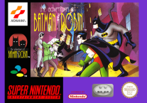 The Adventures Of Batman & Robin